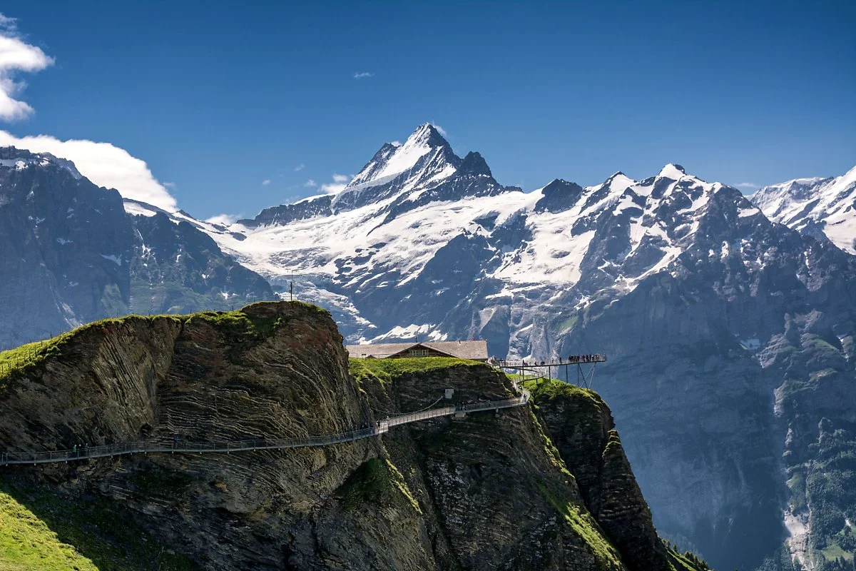 29849166847_616b4f6b6a_k.jpg?type=w1200