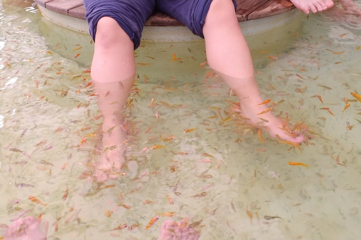 FlickrSHANGCHIEH.jpg?type=w1200