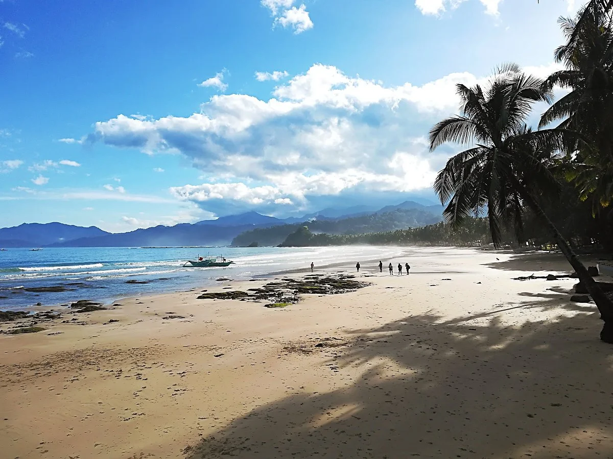 45237519552_97cbf904d2_k.jpg?type=w1200