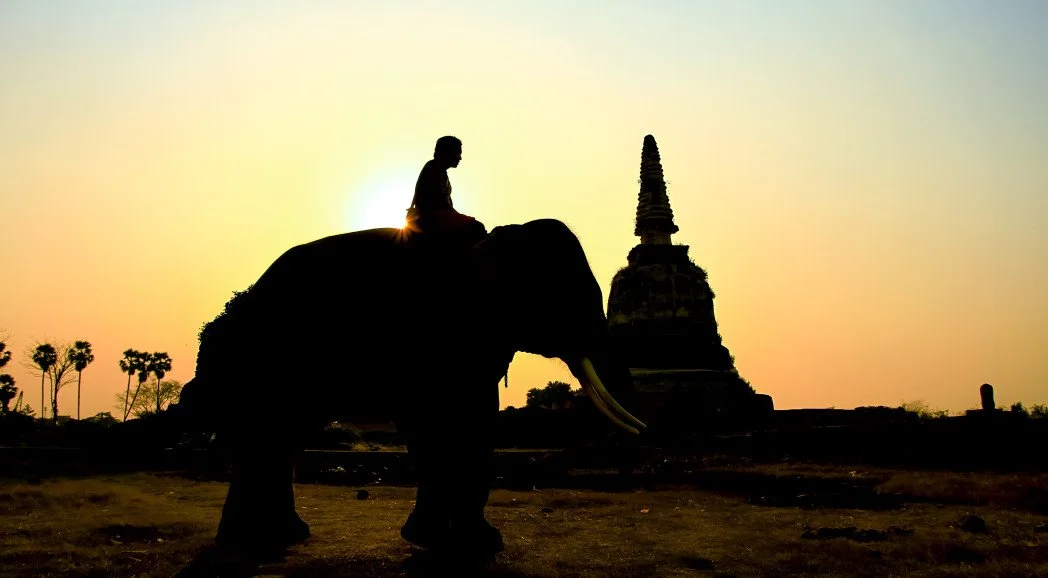 0615_%EC%97%AC%EA%B6%8C2_%ED%83%9C%EA%B5%AD_%EC%8A%A4%EC%8A%A4.jpg?type=w1200