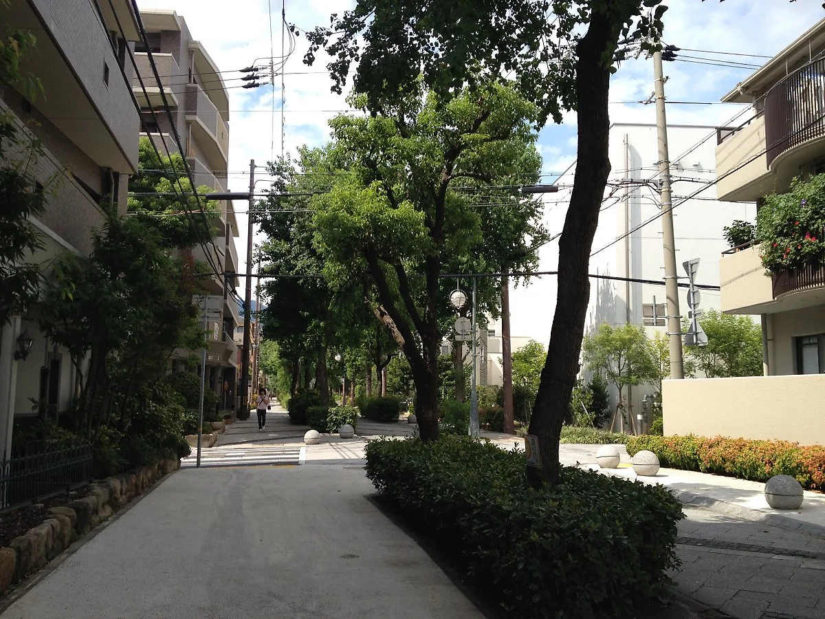 04_flickr_coniferconifer.jpg?type=w1200