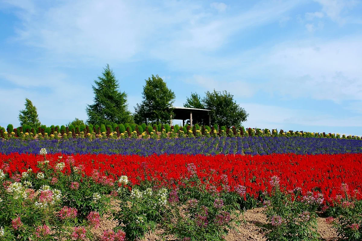 27203015827_f5856e1bae_k.jpg?type=w1200