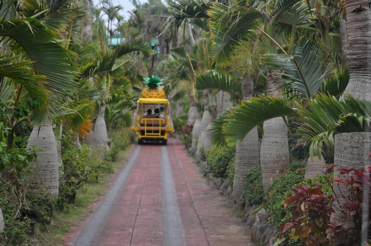 8311936768_927d2a773d_h.jpg?type=w1200