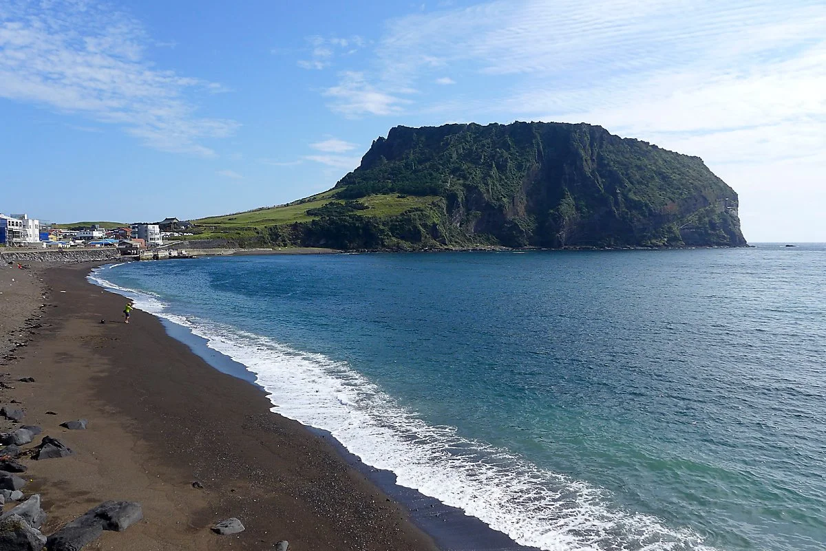 31103883816_d3acbc612b_h.jpg?type=w1200