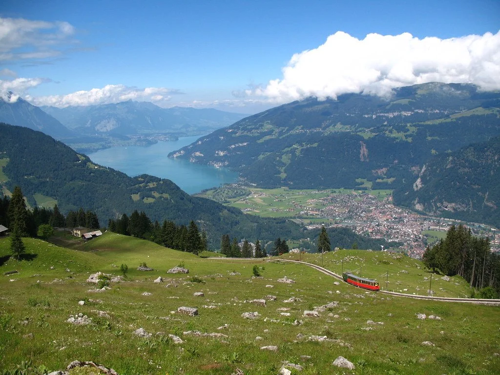 3051348340_8f3cd8f058_b.jpg?type=w1200