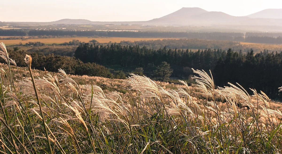 8102838919_1c7c9c370b_k.jpg?type=w1200