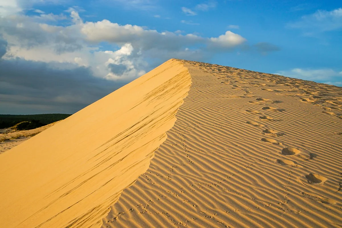 %EB%AC%B4%EC%9D%B4%EB%84%A4_Flickr_Marco_Verch_Professional_Photographer_and_Speaker.jpg?type=w1200