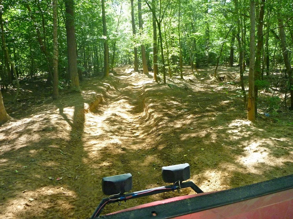 4698140372_d6778cea27_b.jpg?type=w1200