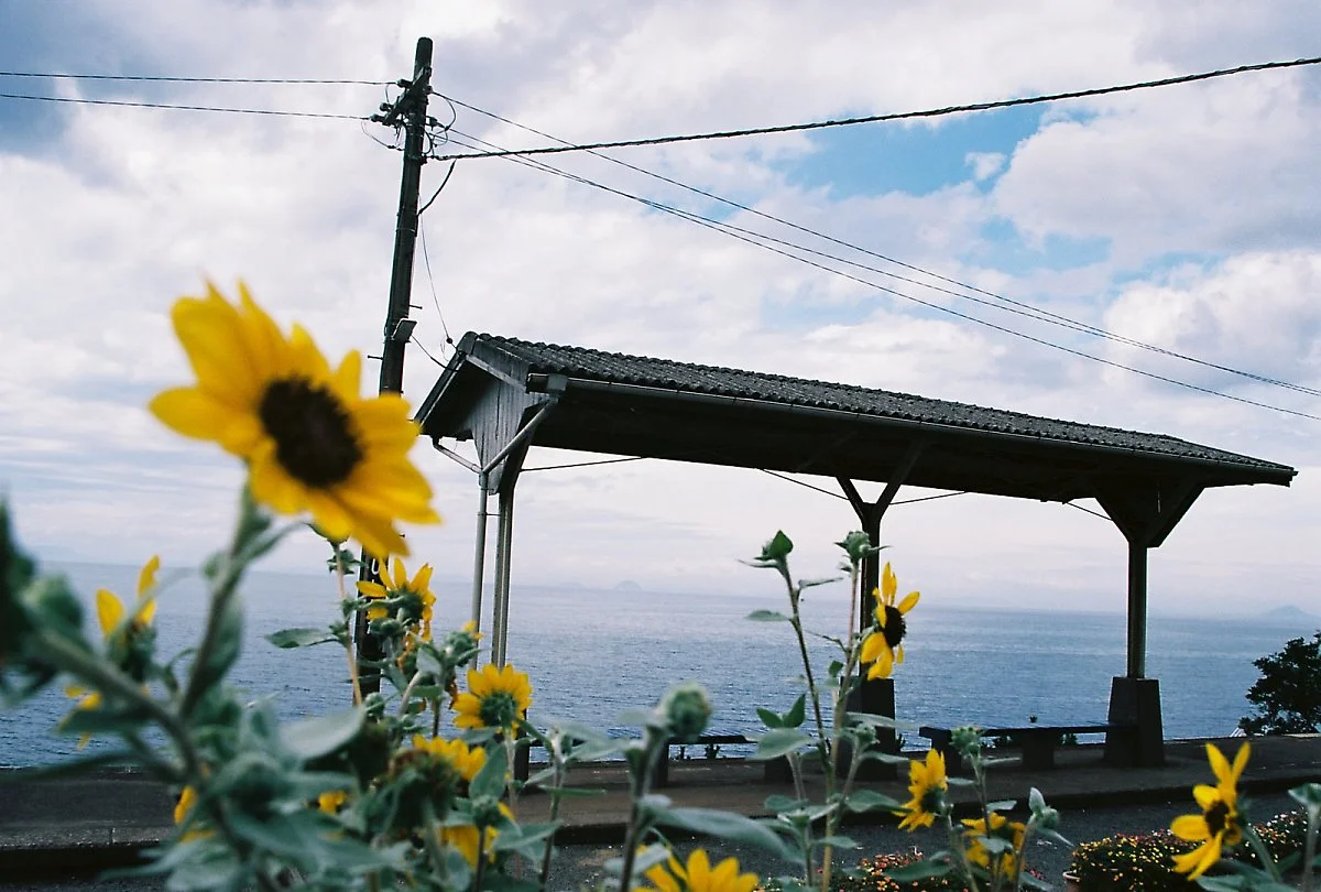 29915168491_81c24cfbd6_h.jpg?type=w1200