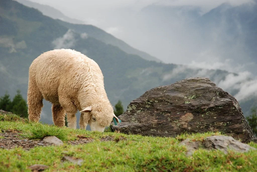 2925351676_8eca8977fd_b.jpg?type=w1200