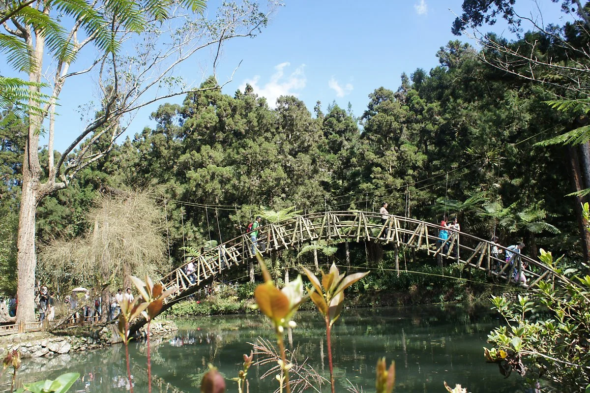 33510705084_00cab17d98_k.jpg?type=w1200