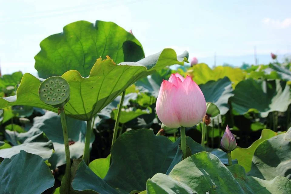 10939549316_fc2a01e899_b.jpg?type=w1200