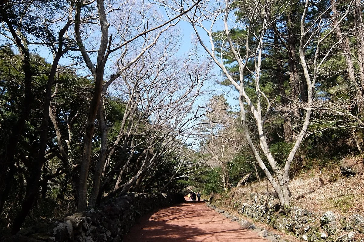 %EC%A0%9C%EC%A3%BC6_Jinho_Jung.jpg?type=w1200