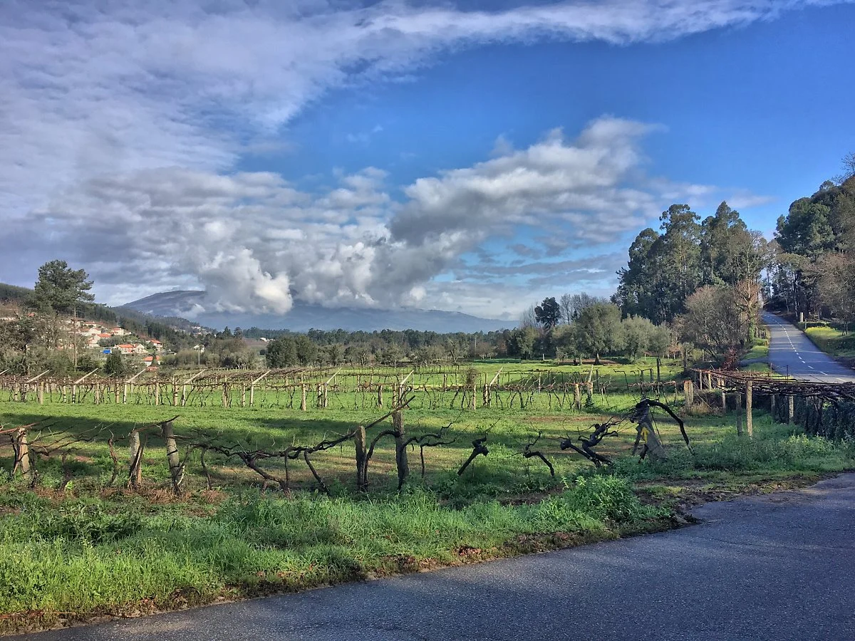 41177665131_766a6ff9ed_k.jpg?type=w1200