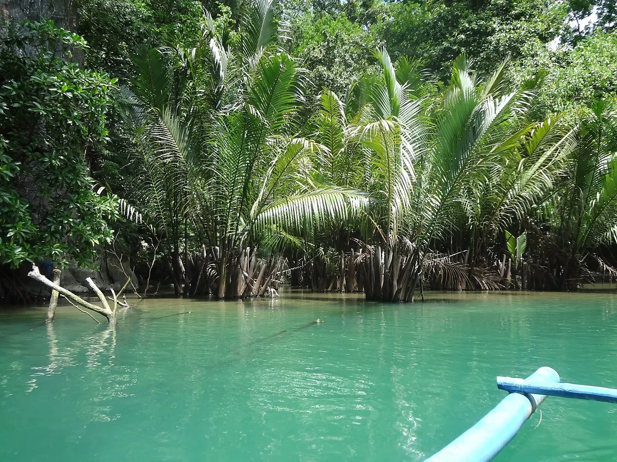 9165298966_b88a5ead79_5k.jpg?type=w1200