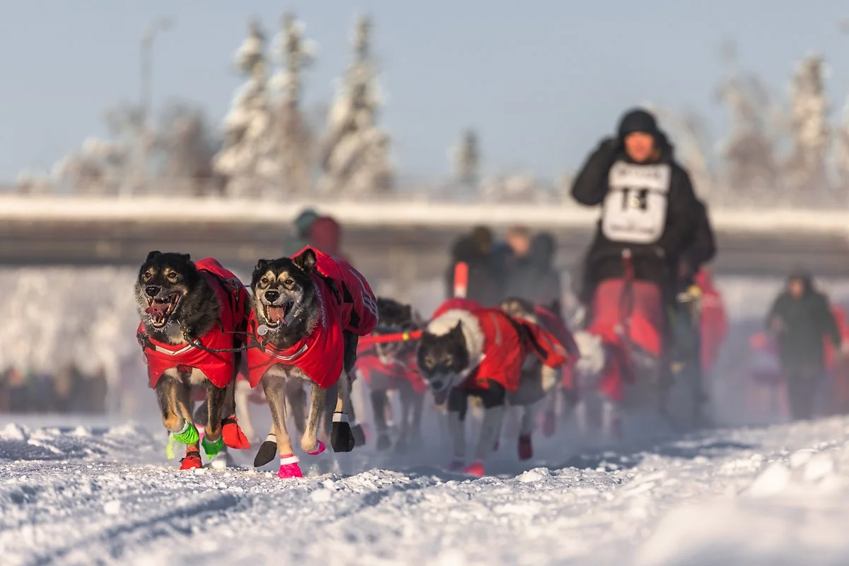 26723767748_ac4b909ce3_k.jpg?type=w1200