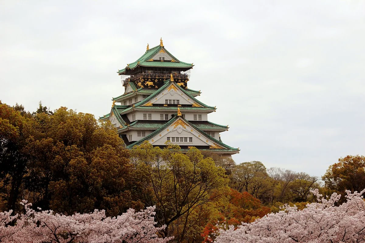 19634738419_094edadd92_k.jpg?type=w1200