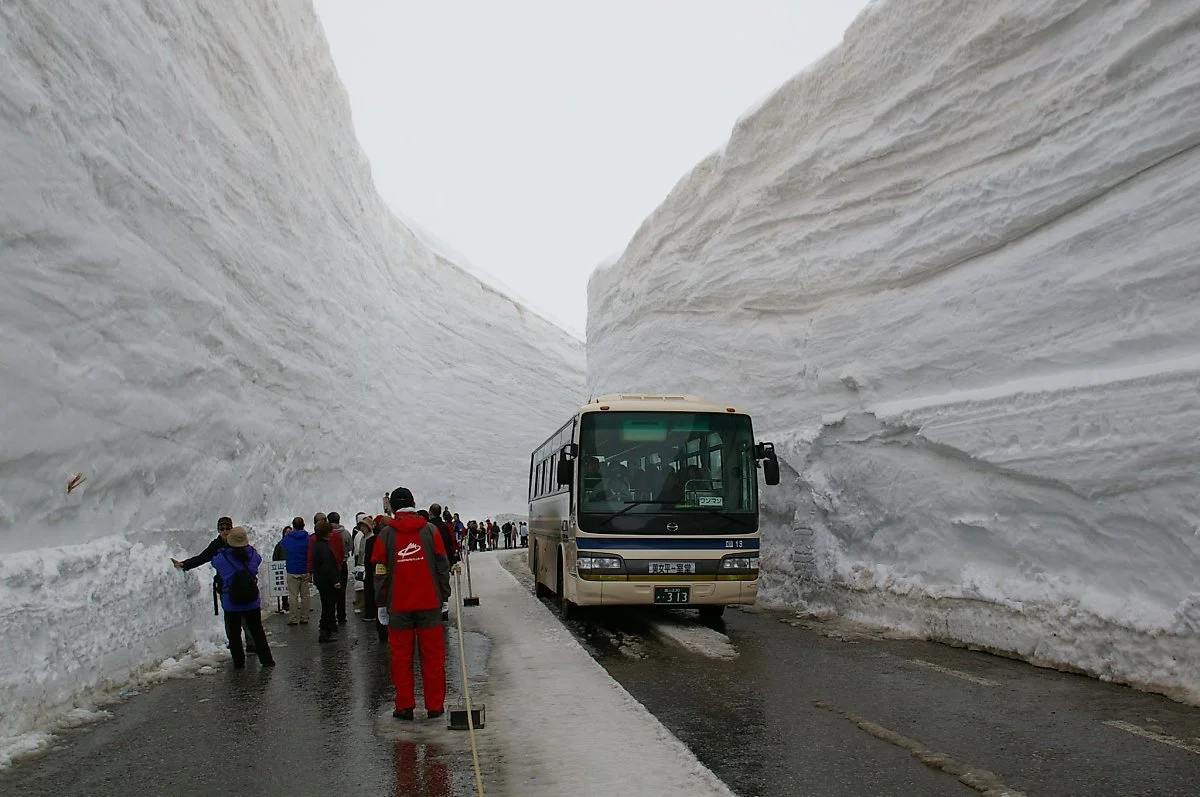 133445520_8abe796423_o.jpg?type=w1200