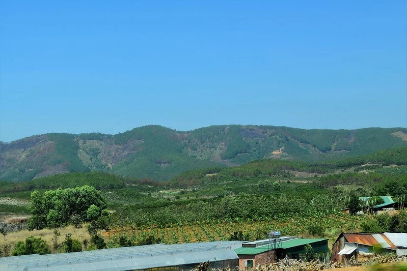 25876625007_18099a04b0_c.jpg?type=w1200