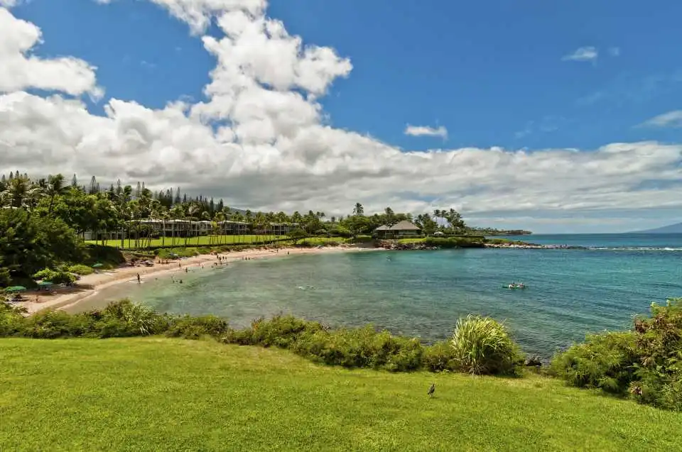 GettyImages-465281945.jpg?resize=800px:99999px&quality=75