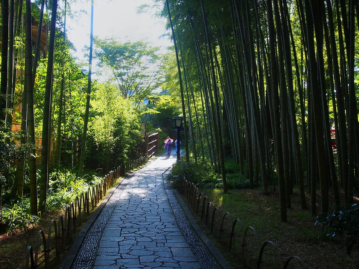 8039117078_28e12c9a7e_k.jpg?type=w1200