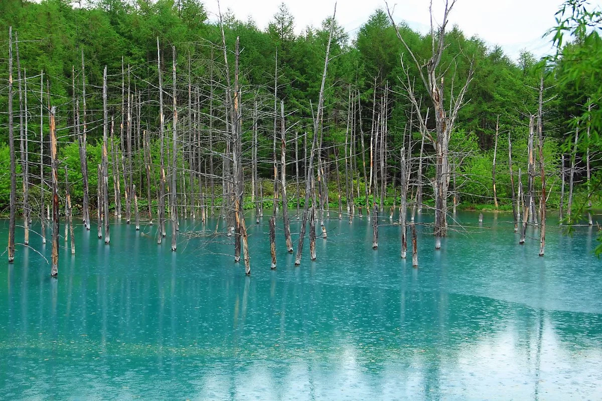 13821215295_8bb78552e0_h.jpg?type=w1200