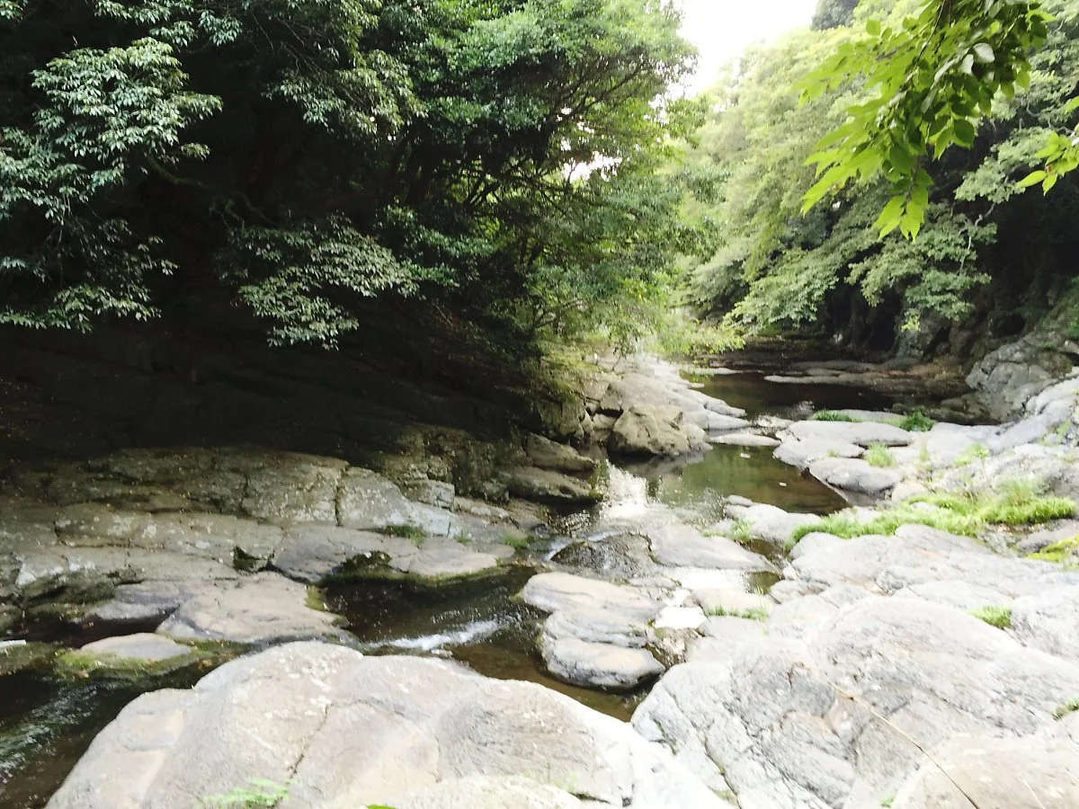 image_695091101526870457705.jpg?type=w1200