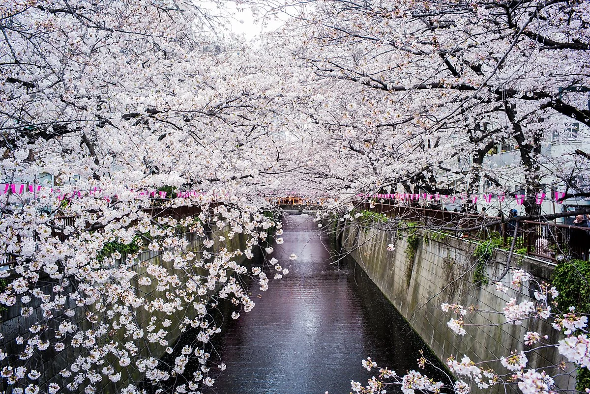 25764814883_91c6adc518_k.jpg?type=w1200