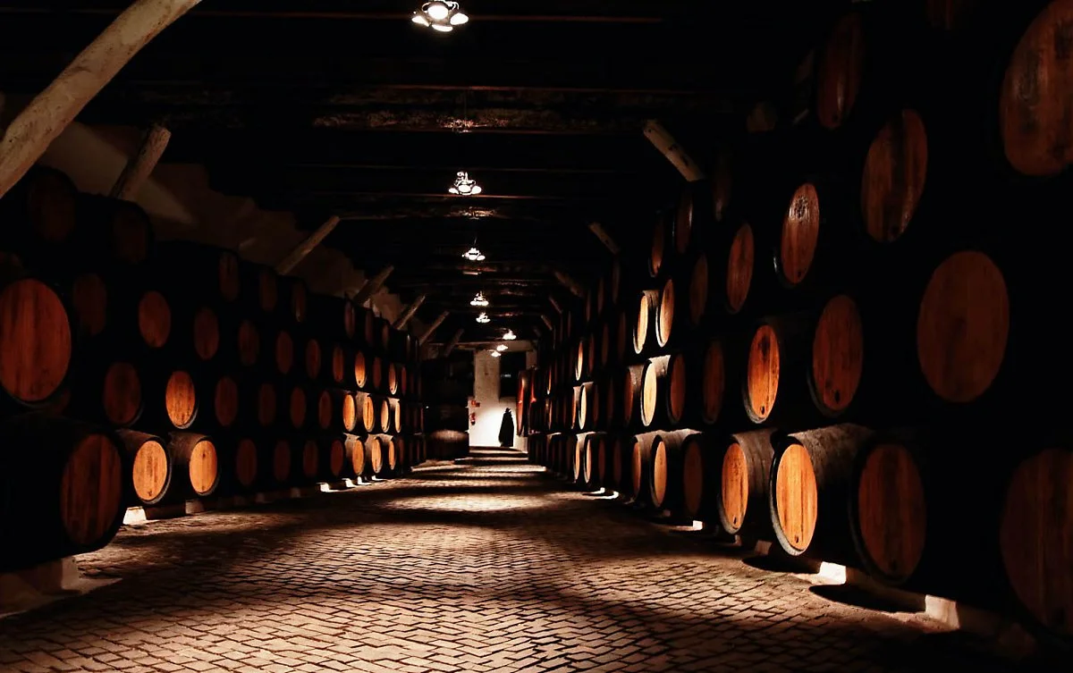 9185272891_657f8286b5_h.jpg?type=w1200