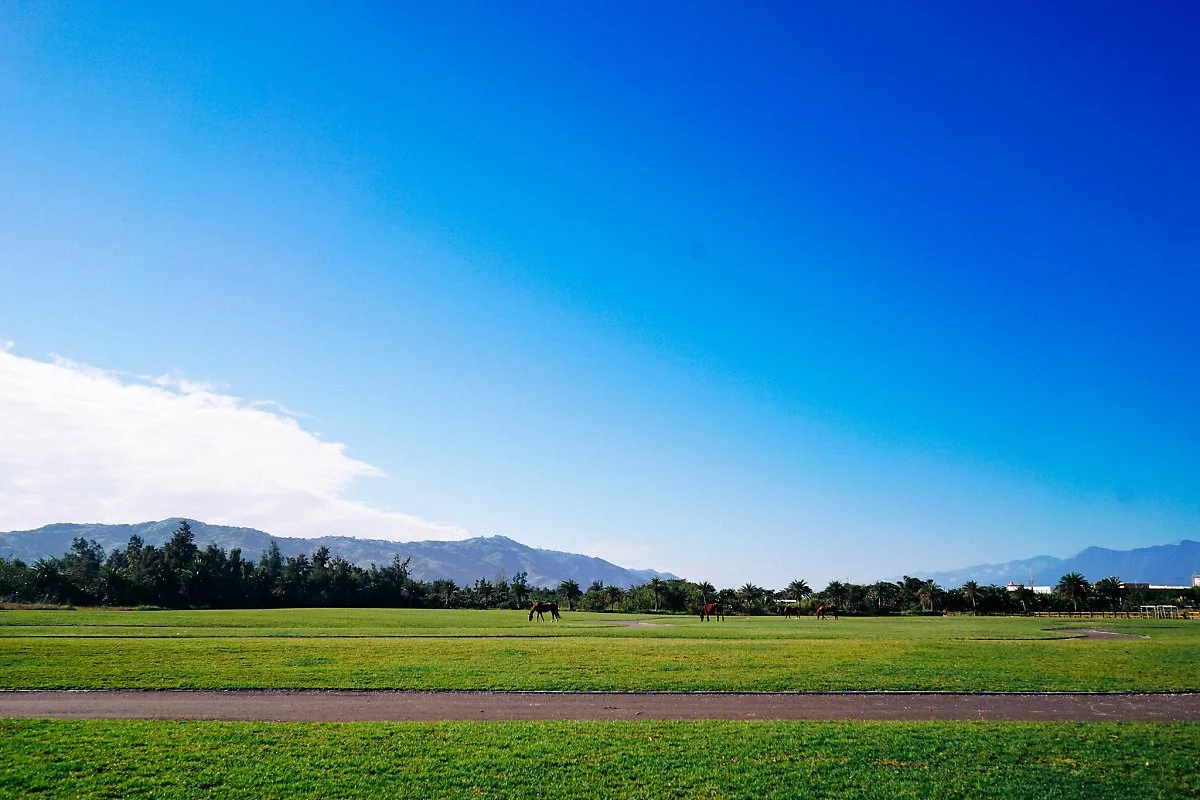 44615894250_93062f544b_k.jpg?type=w1200