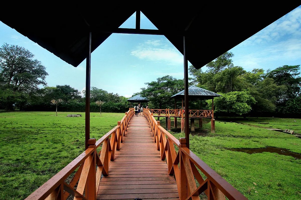 28502051735_c183927106_k.jpg?type=w1200