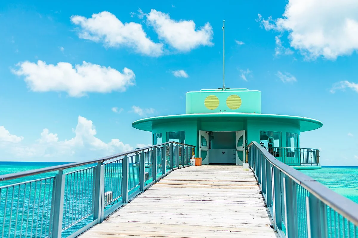 %EA%B4%8C_%ED%94%BC%EC%89%AC%EC%95%84%EC%9D%B4_%282%29.jpg?type=w1200