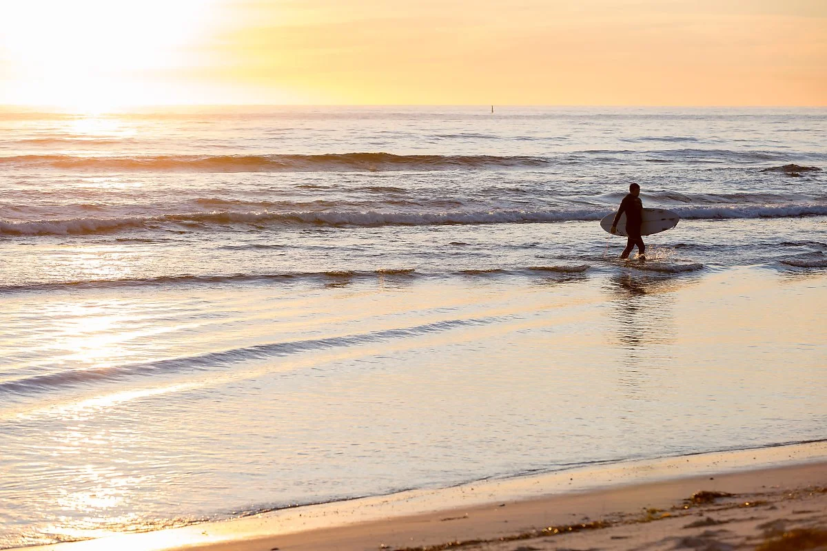 19257742842_e7fdc7b656_o.jpg?type=w1200