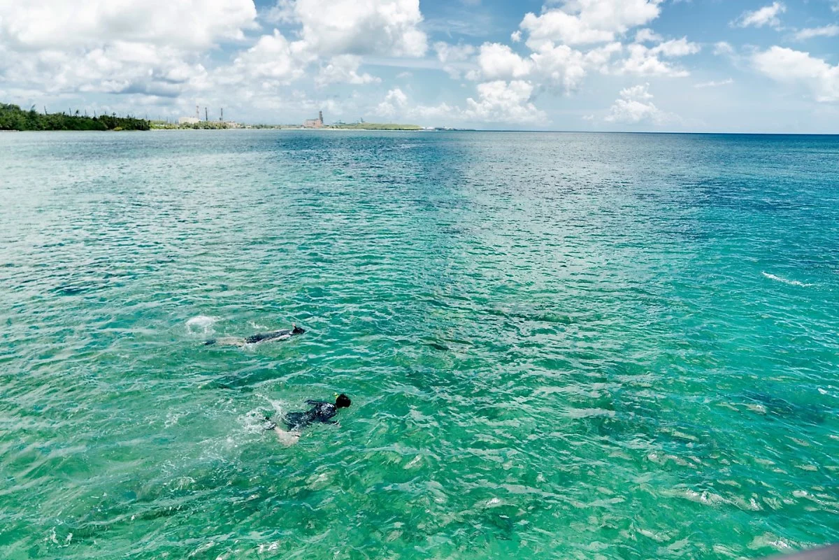 %ED%94%BC%EC%89%AC%EC%95%84%EC%9D%B4.jpg?type=w1200