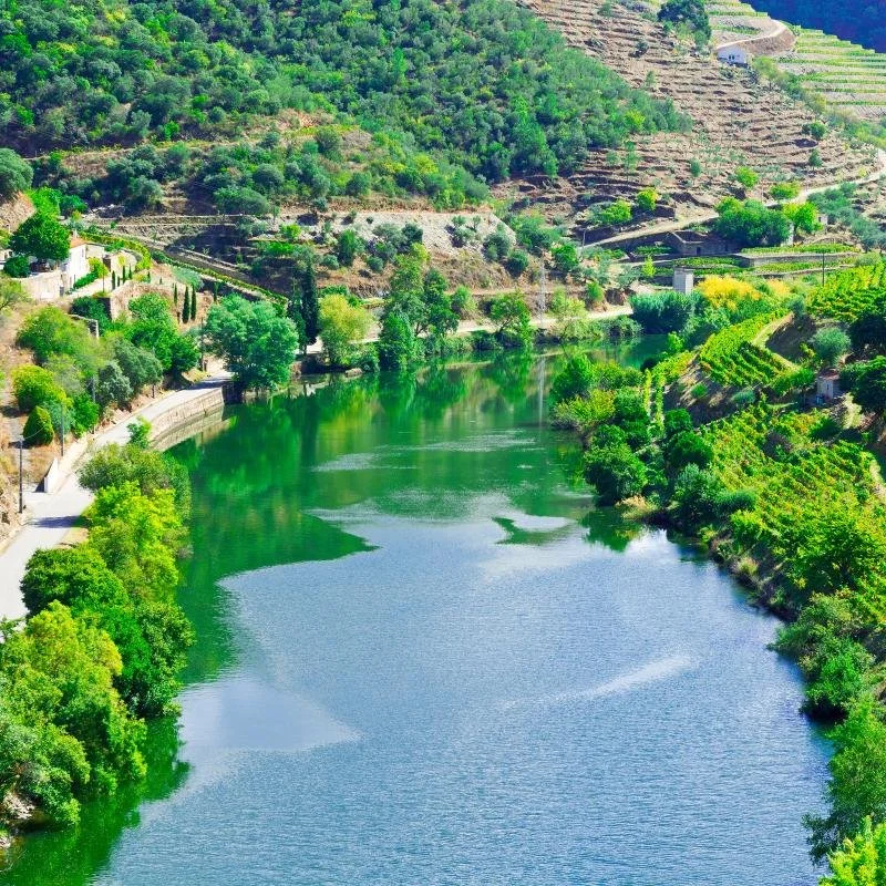 GettyImages-525140391.jpg?type=w1200