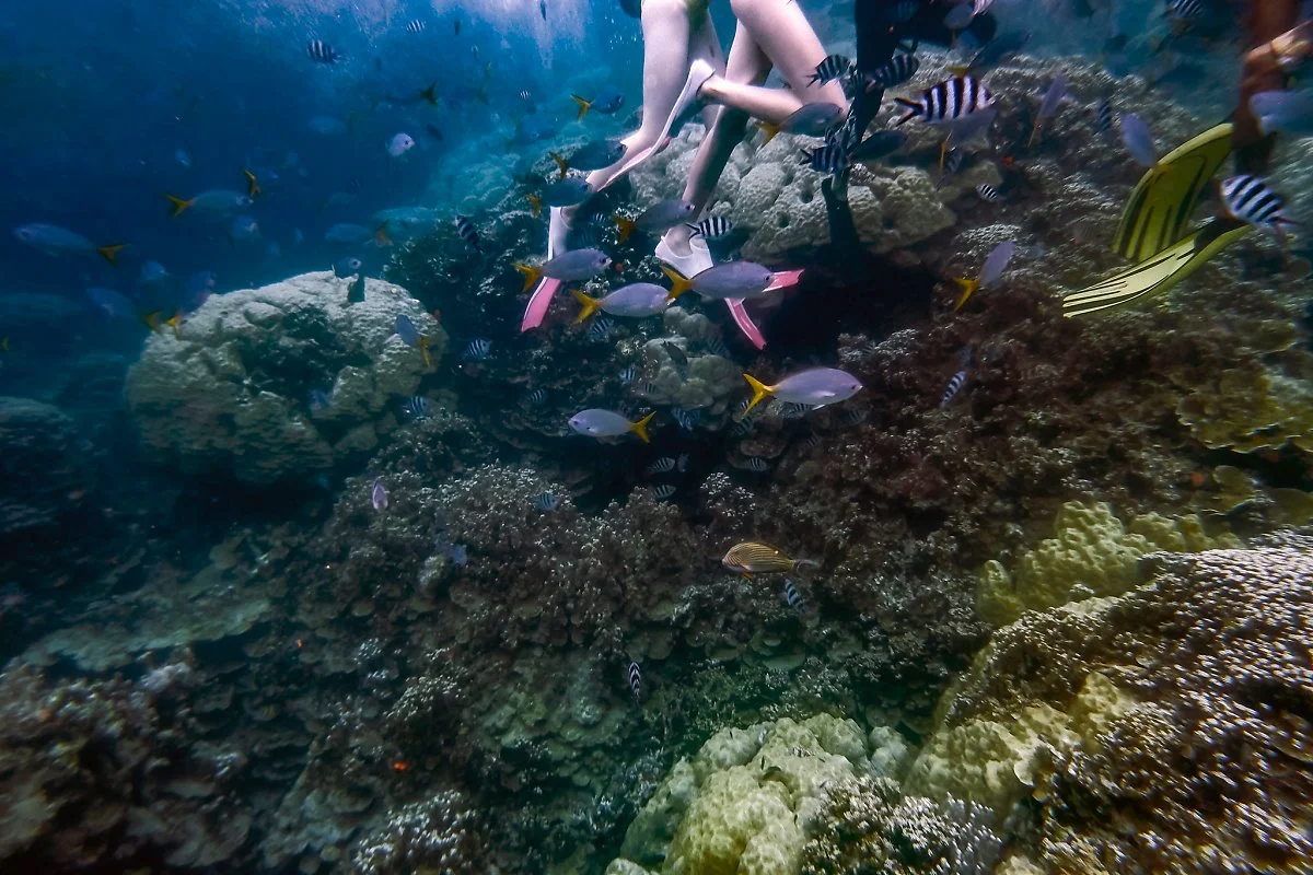 45036639824_78ad0c9c07_k.jpg?type=w1200