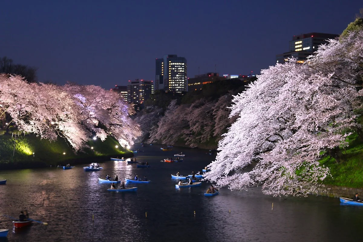 16367700094_71abc5aae2_k.jpg?type=w1200