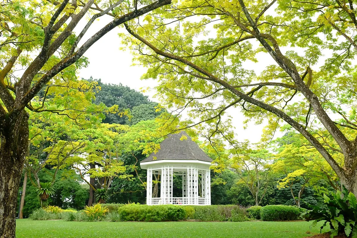 10780707745_061c48f986_k.jpg?type=w1200