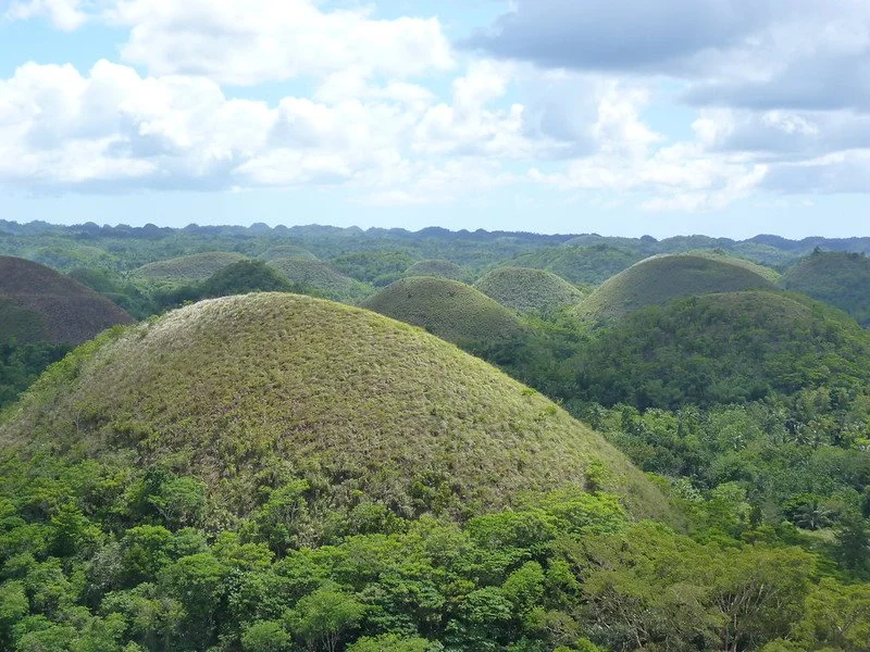 4384553120_ded3455311_c.jpg?type=w1200