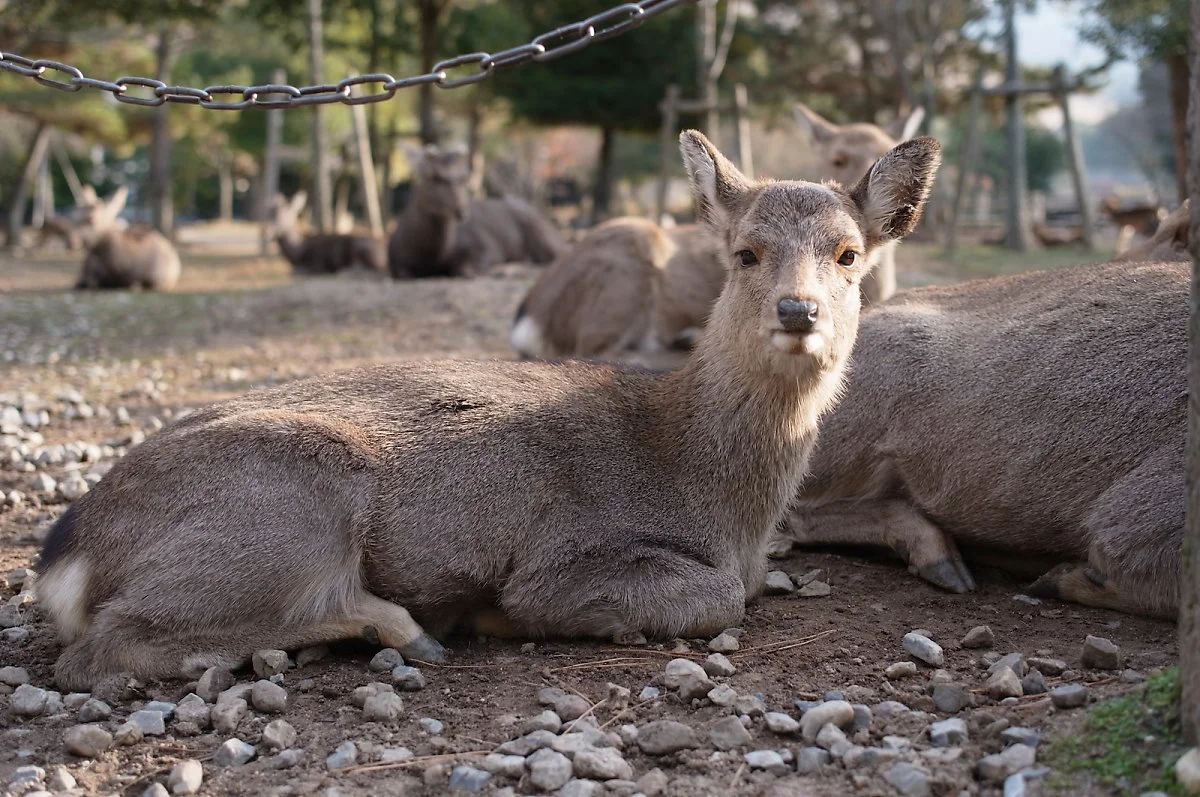 03.flickr_Bong_Grit.jpg?type=w1200