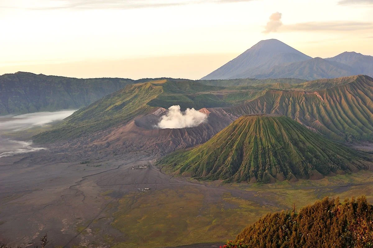 8908496635_4ab6bf94d0_h.jpg?type=w1200