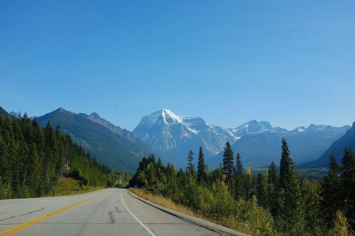 7994758731_0969de38a5_k.jpg?type=w1200