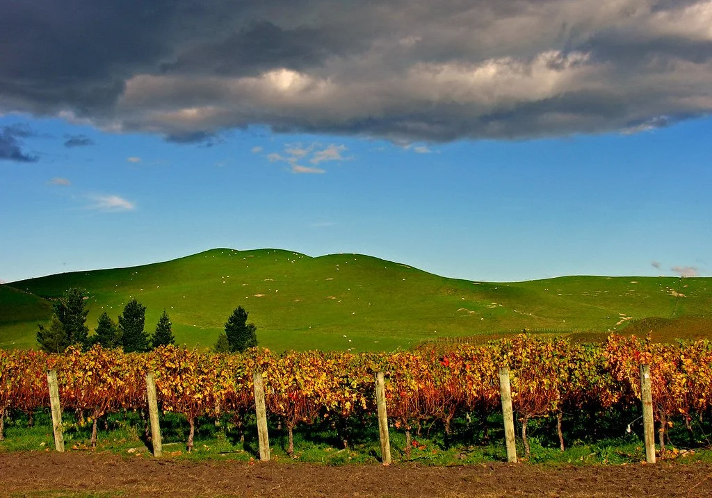 144981934_d95b21af22_b.jpg?type=w1200