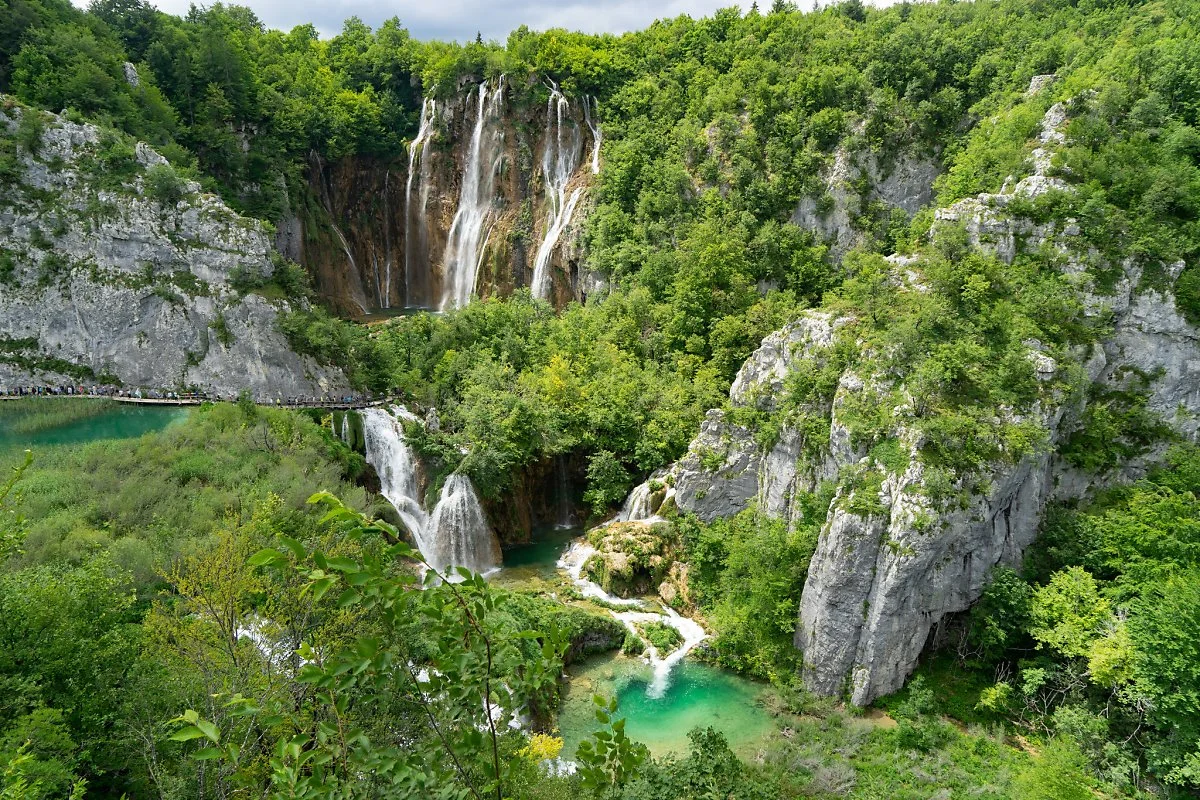 43393313012_ae83c7f9c6_k.jpg?type=w1200