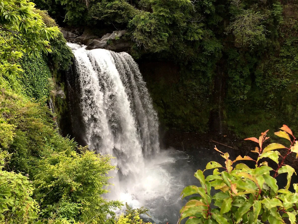 14390514849_9a75a28f91_k.jpg?type=w1200