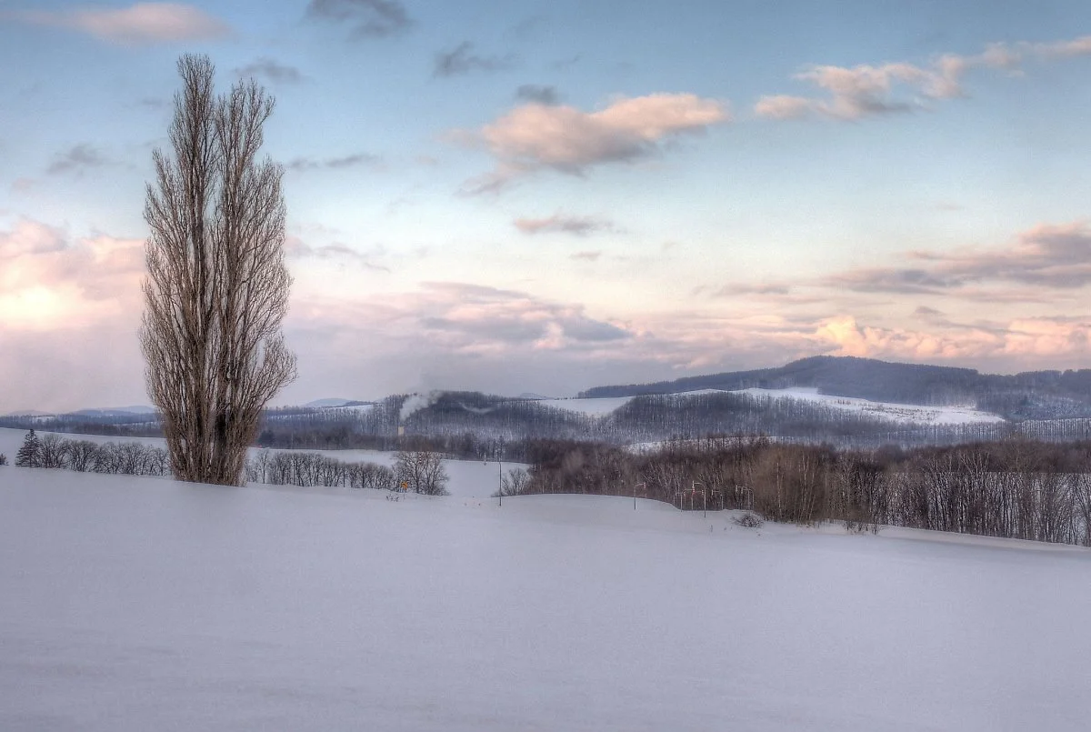 25012663971_0f20697161_k.jpg?type=w1200