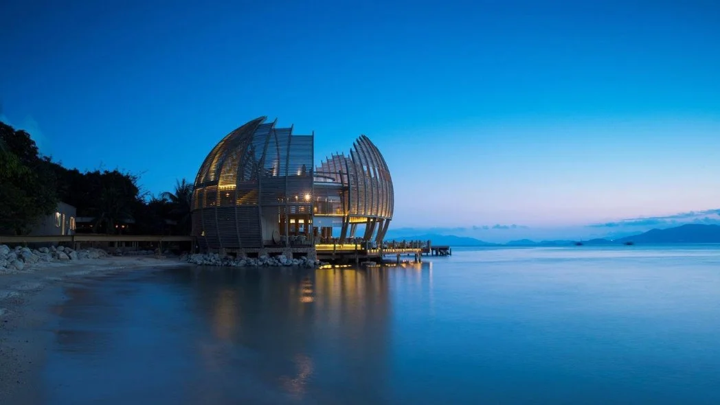 %EC%95%88_%EB%9E%8C_%EB%A6%AC%ED%8A%B8%EB%A6%AC%ED%8A%B8_%EB%8B%8C_%EB%B0%98_%EB%B2%A0%EC%9D%B43.jpg?type=w1200