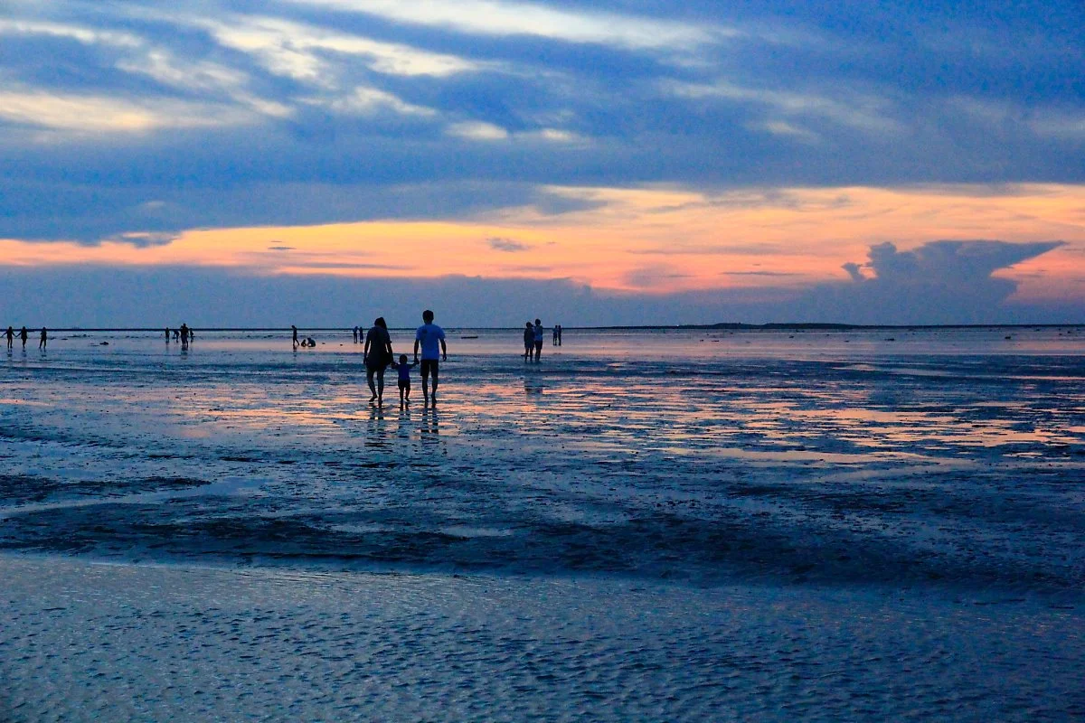 18020254273_ee8b996126_k.jpg?type=w1200