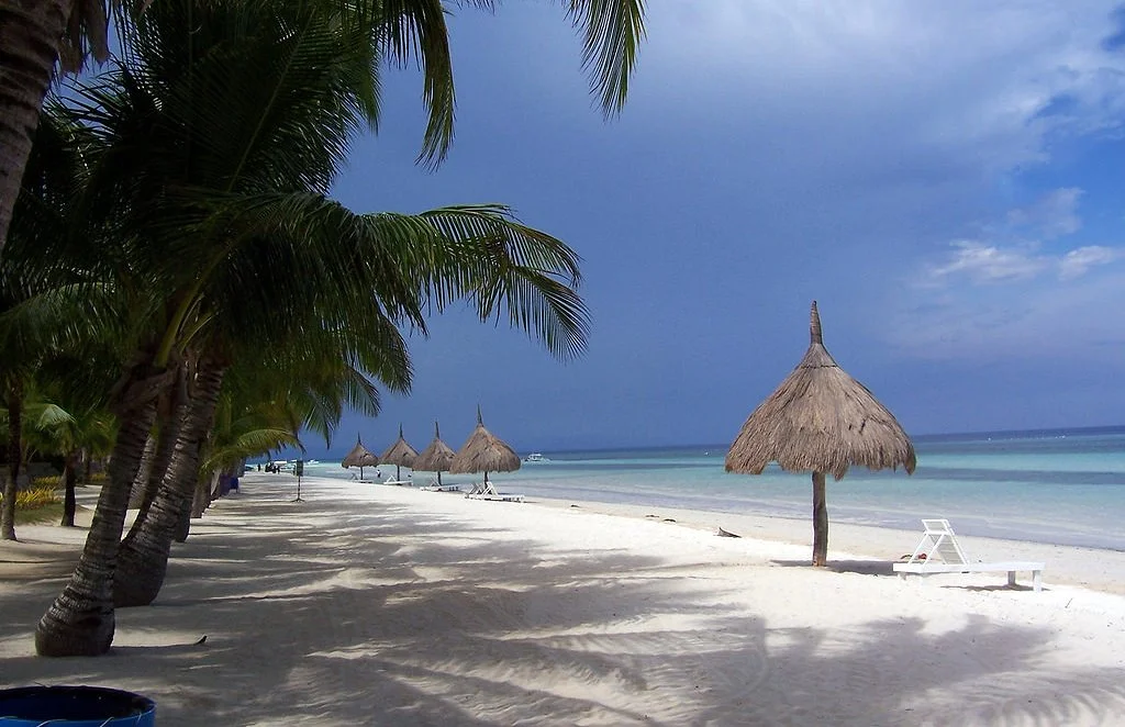 image_5802490341544086472017.jpg?type=w1200