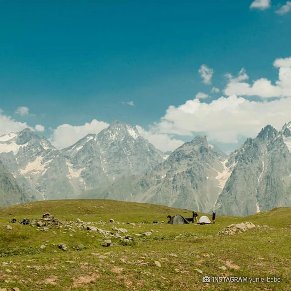 %EC%A1%B0%EC%A7%80%EC%95%845.jpg?type=w1200